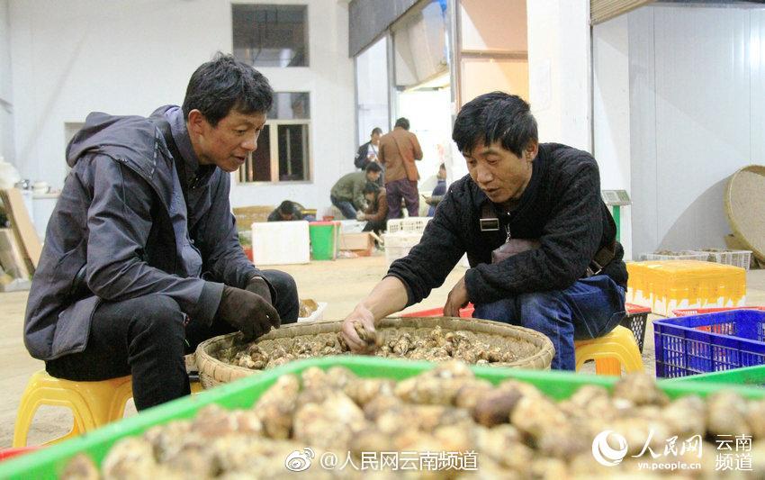胎位loa和roa哪个好，最主要是哪个更容易顺产