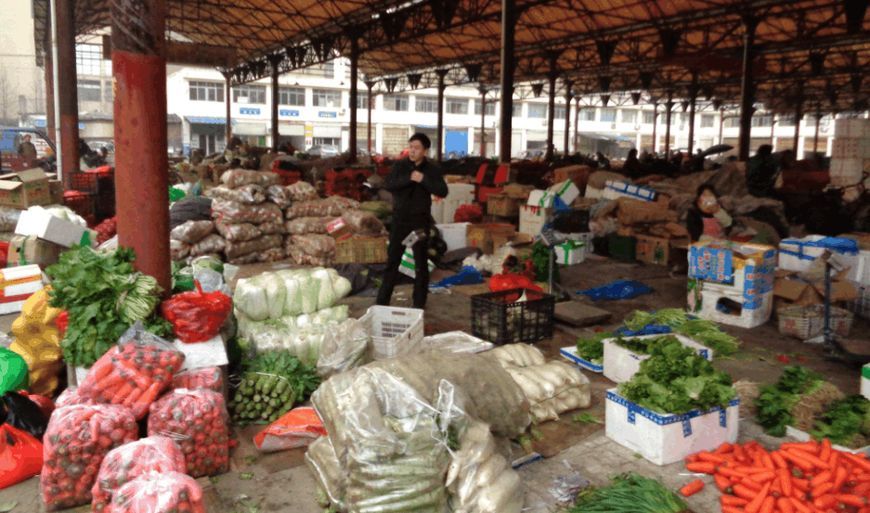 批发市场的菜哪里拿的