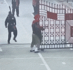 搞笑gif图,兄弟不能吃,这个有毒