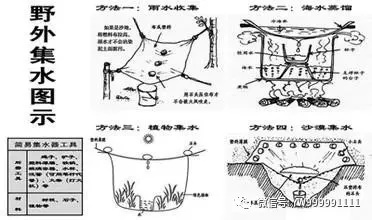 论无淡水“海岛求生”方法