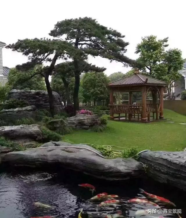 庭院假山鱼池这样做,让你拥有纯生态的自然景