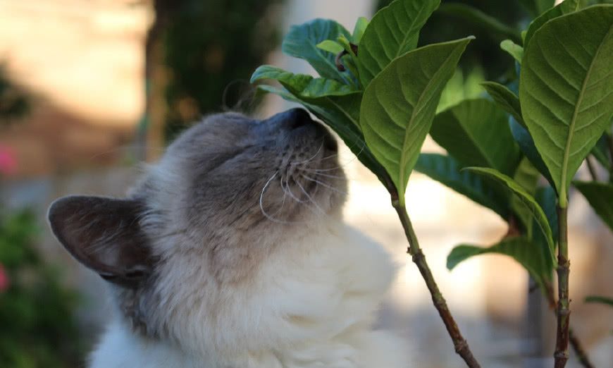 PG电子游戏- PG电子平台- PG电子官方网站明日开始报名！广东省2026年第一次普通高中学考指南来啦！附报名入口→