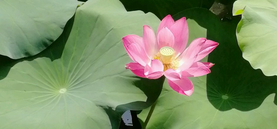 随笔：邂逅时光，绣成江南的模样