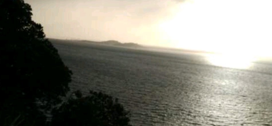 一个民族在流动中才会变得更加强大