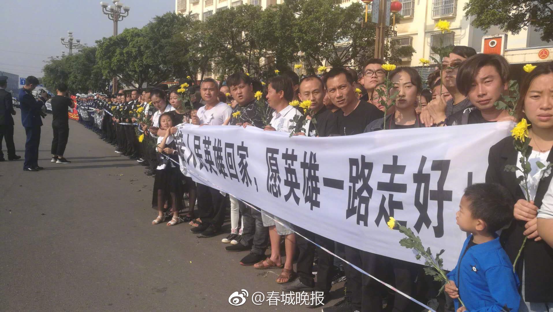 海外华人新视界，免费观看与在线视频探索