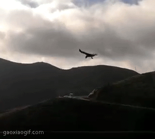 壁纸 风景 314_281 gif 动态图 动图