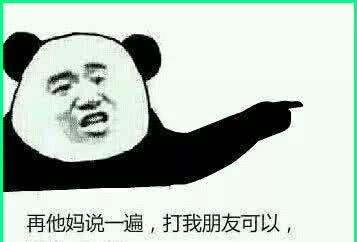 男生专用超爽熊猫表情包:再说一遍,打我朋友可以,打我