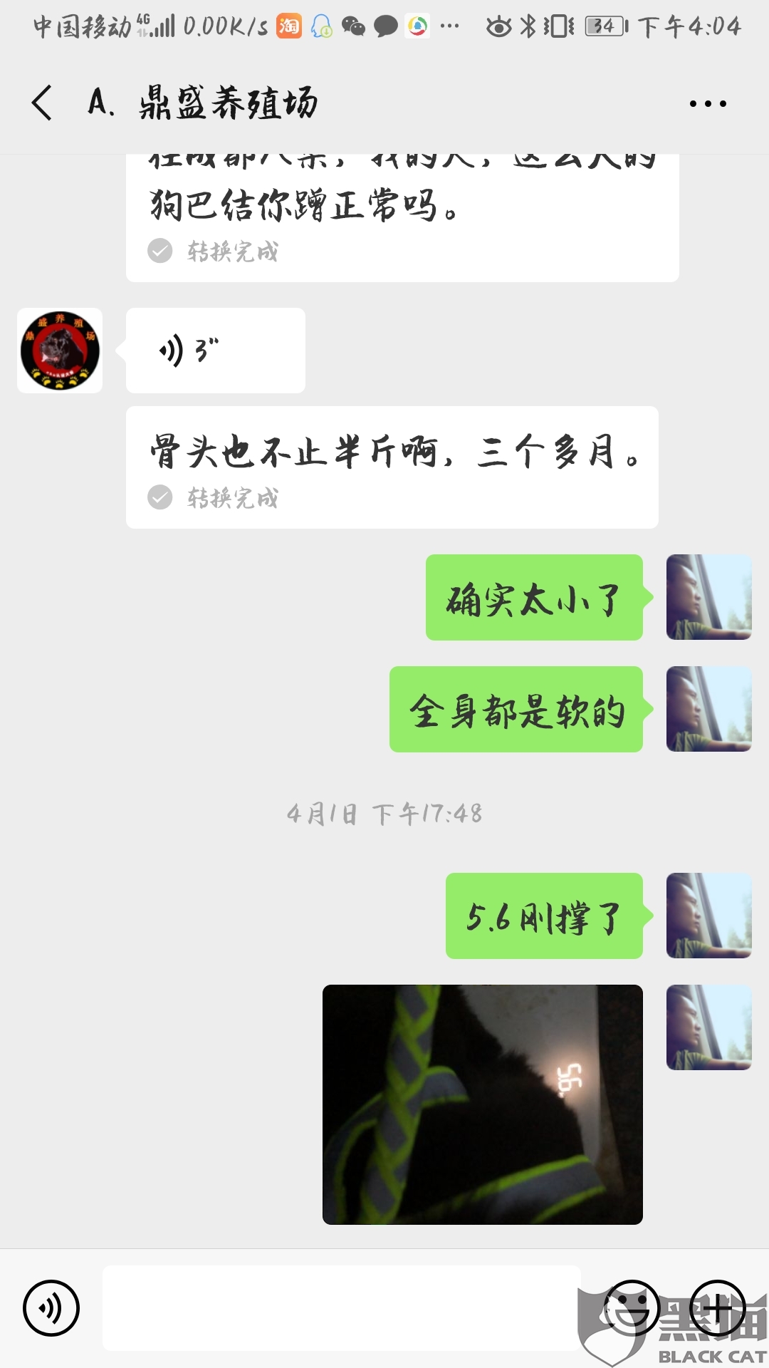 FicA-hvntnkr2776858.jpg