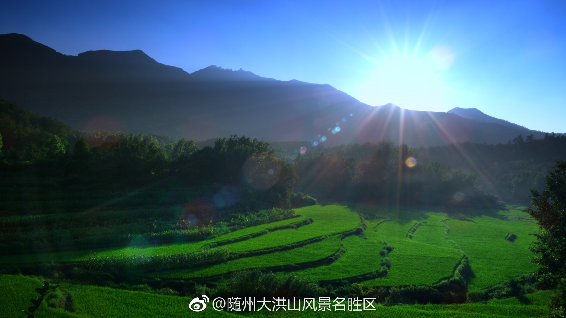 這個夏天，不只是足球迷的夏天