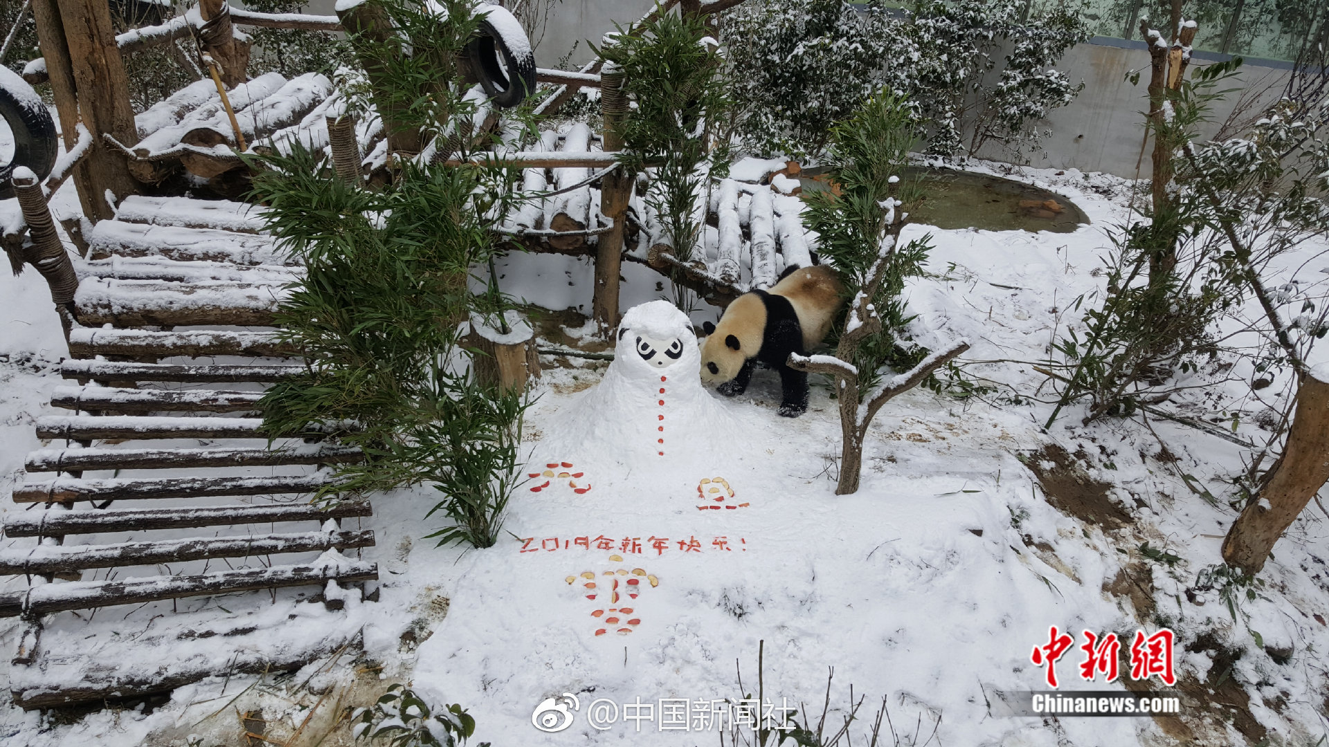 南北花鸟画名家汇聚沪上，在春天共绘“鸟语花香”