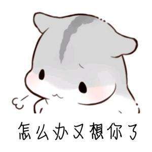 哄老公表情包: 老公