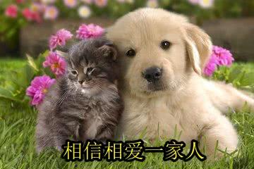 表情包:相亲相爱一家人