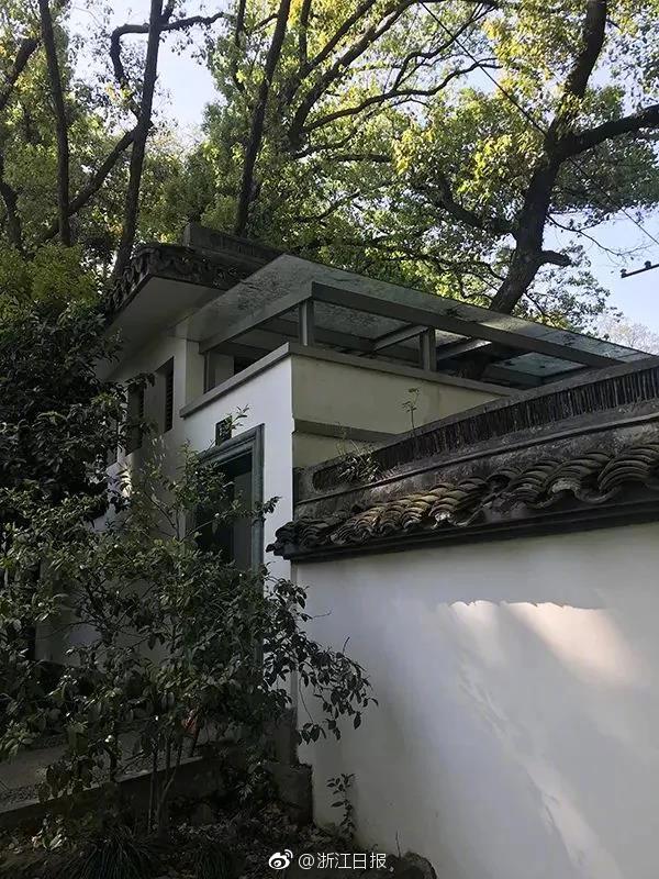 合肥籍编剧王庐璐：用热爱拓展艺术边界