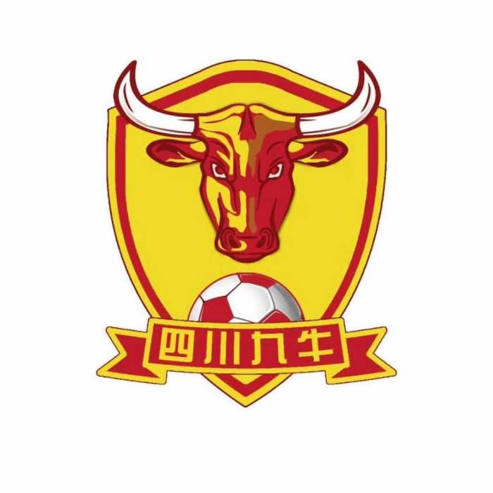 中乙新军四川九牛主场落户自贡,2018联赛主场