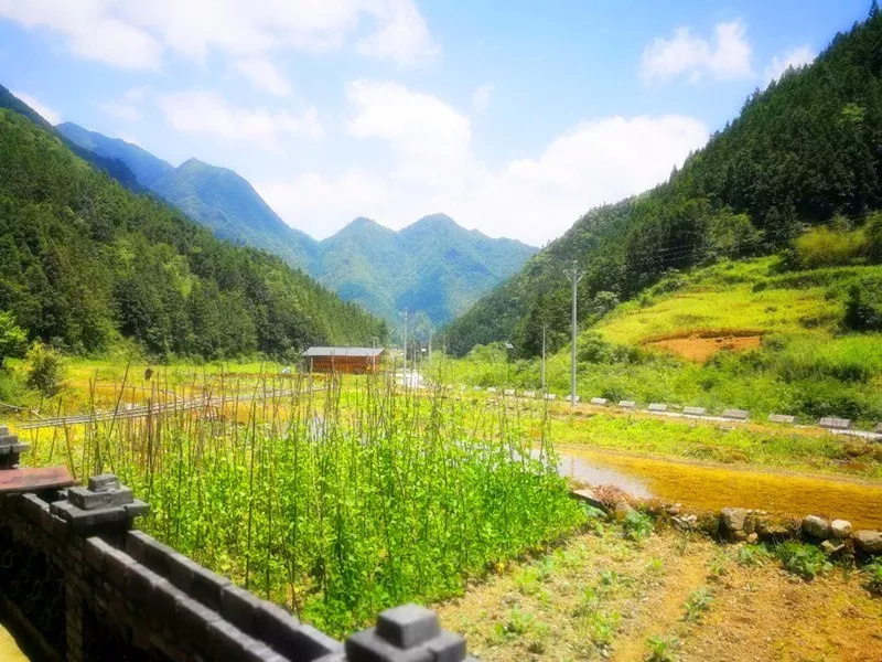 桐梓这个不为人知的绝美山村 你去过吗