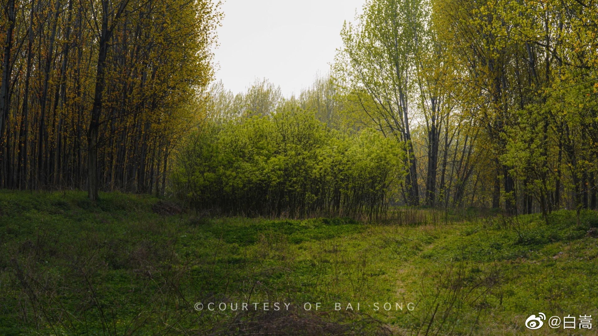 去秦嶺山腳下呼吸新鮮空氣