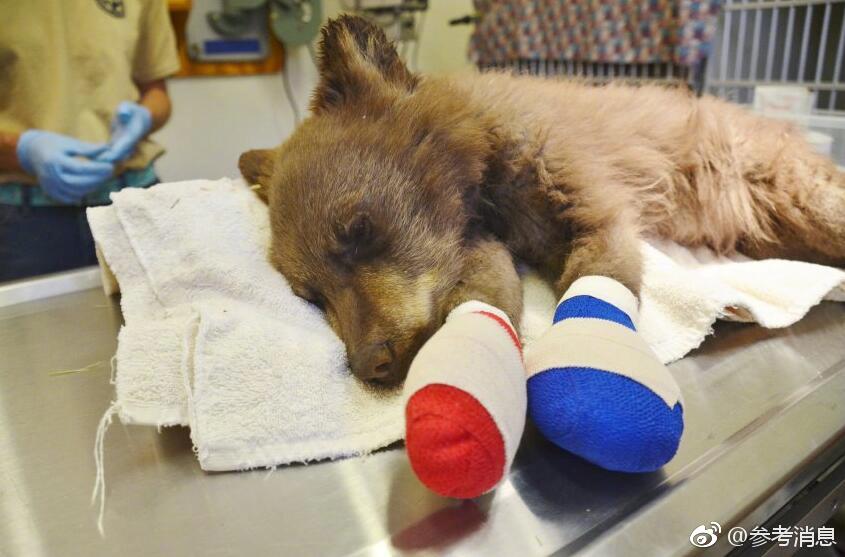 一加Turbo 6系列开售即享国补 李杰：内存涨价下 价格依然同档更香