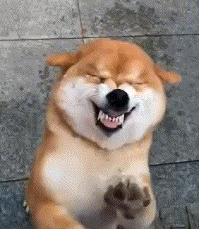 搞笑gif: 妹子你腰里不行, 不要玩这个