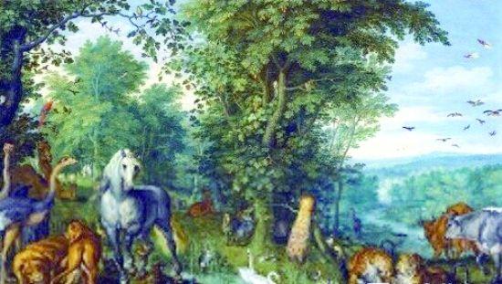 天堂的样子是花园 ——纸上花园...