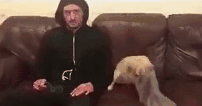 爆笑笑话,送你几个笑话,笑死人不偿命!