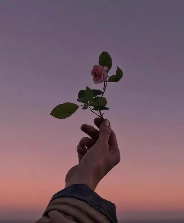 抖音刺痛人心的句子,句句伤感穿心,让人失声痛哭!