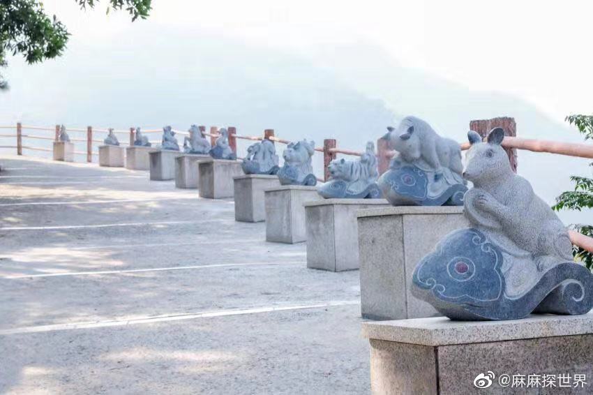 東莞春節去哪兒？樟木頭觀音山登高