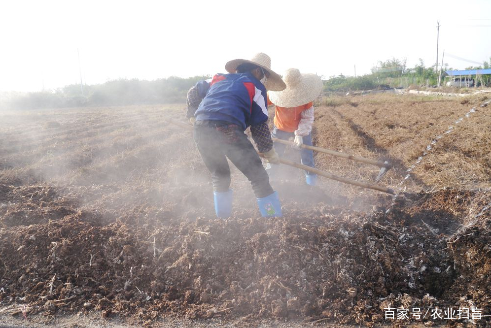 农业部门对水的需求最大，其次是工业，电力部门和国内消费