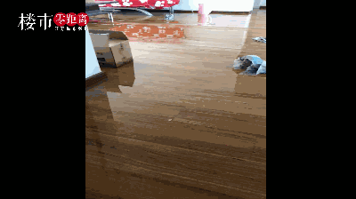 租房一个月,家里