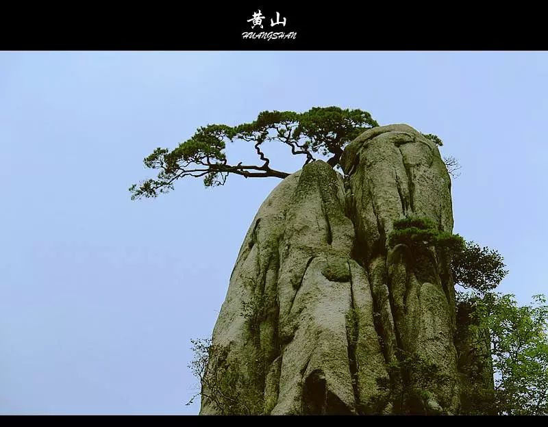 黄山应该怎样爬?--新时代需要多元成长文化