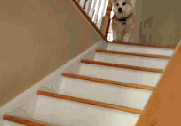 楼梯 369_257 gif 动态图 动图