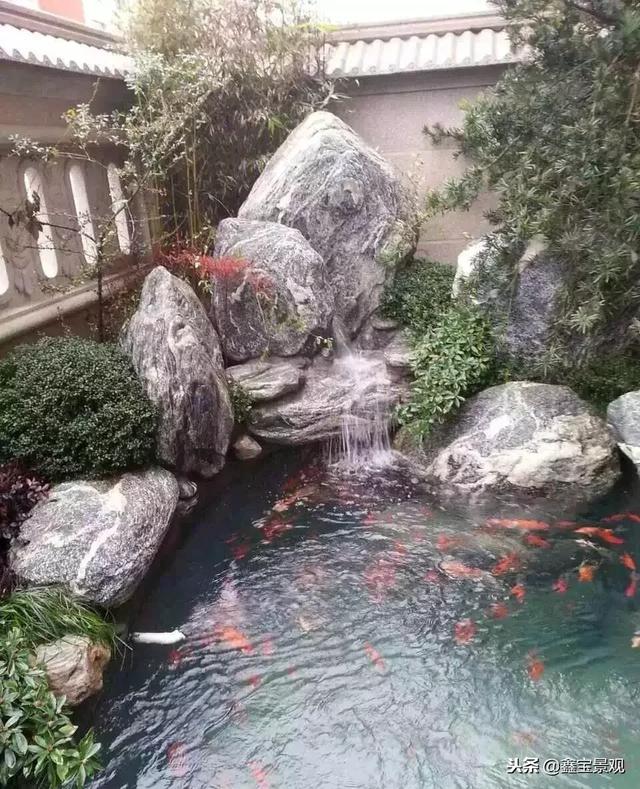 庭院假山鱼池这样做,让你拥有纯生态的自然景