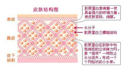 脸上这“一黑一黄”，是黑色素和胶原蛋白的争夺战，别再忽略了