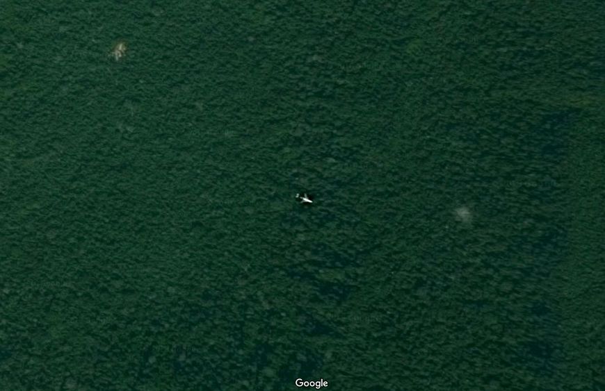 听说有人在谷歌地图上发现了马航MH370,于是