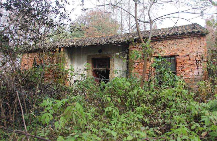 农村宅基地要收费了?2种需交费,4种人可申请免