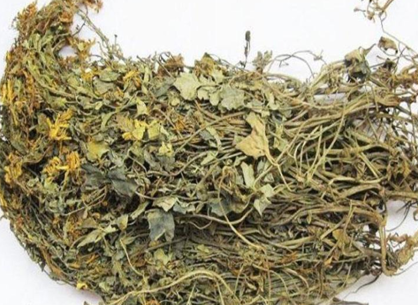 山里这种长在石头上的花,看起来不太起眼,殊不知价值珍贵 山里这种长在石头上的花,看起来不太起眼,殊不知价值珍贵