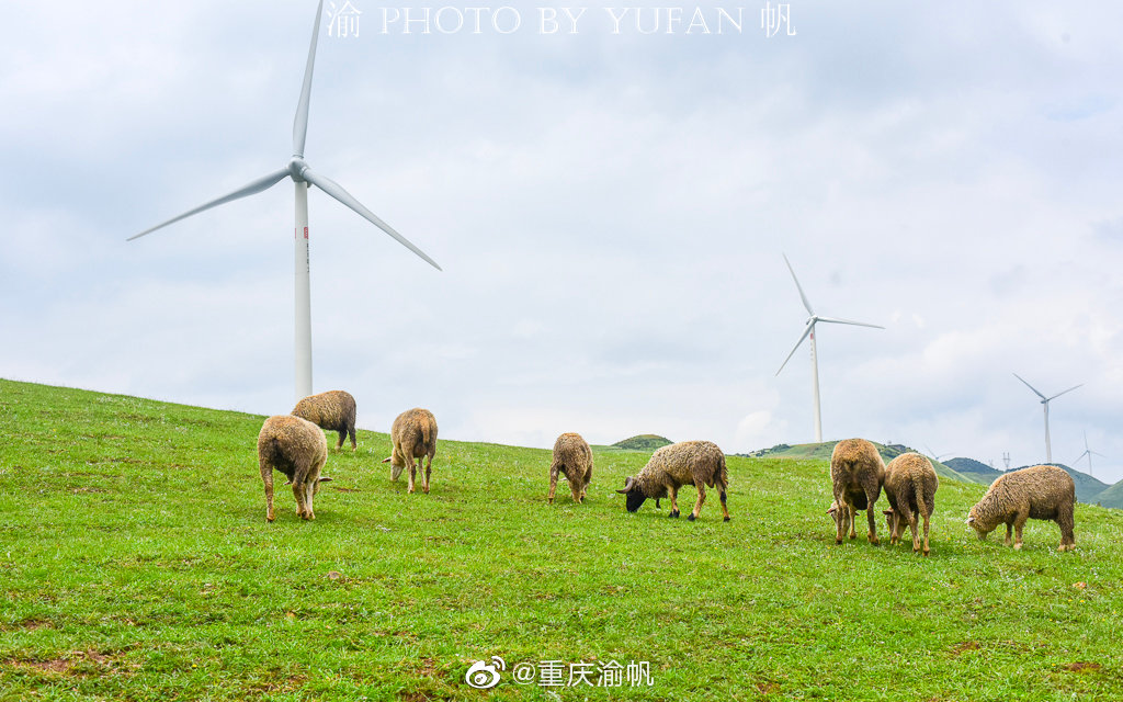 一個夏日避暑的好地方——盤州烏蒙大草原