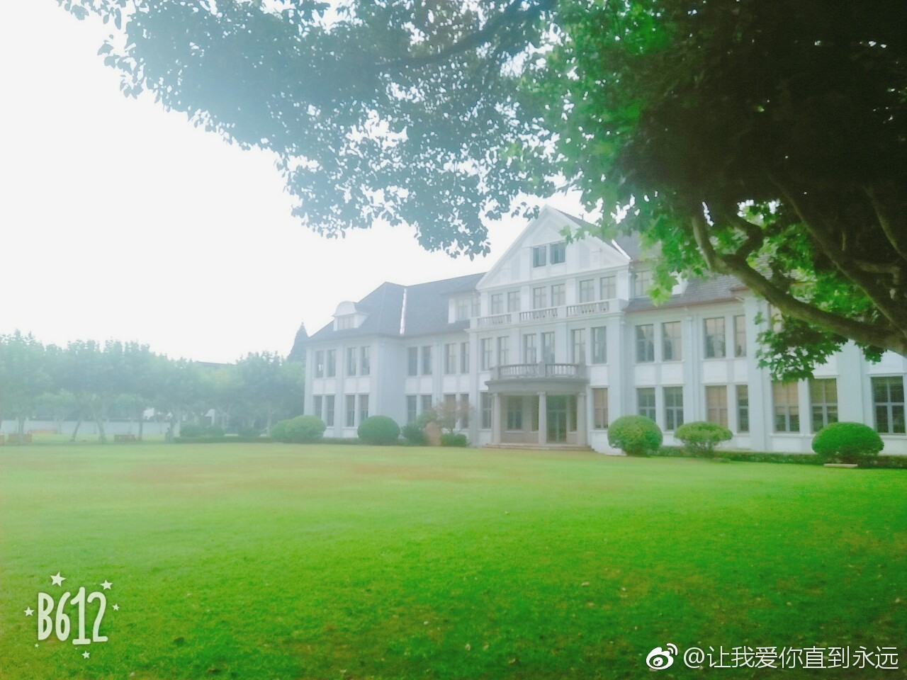 復(fù)旦的樓復(fù)旦的路 復(fù)旦的自行車