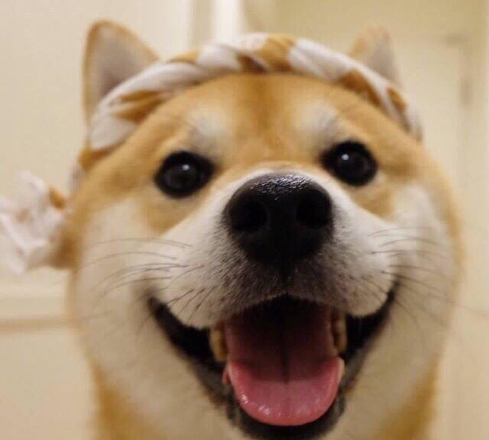 12月份沙雕情侣头像,