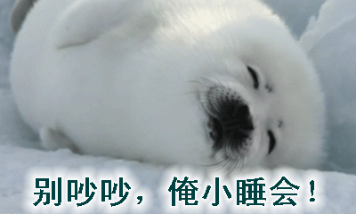 称:别拉我,我要抱着我老婆巴厘岛dl海豚图片