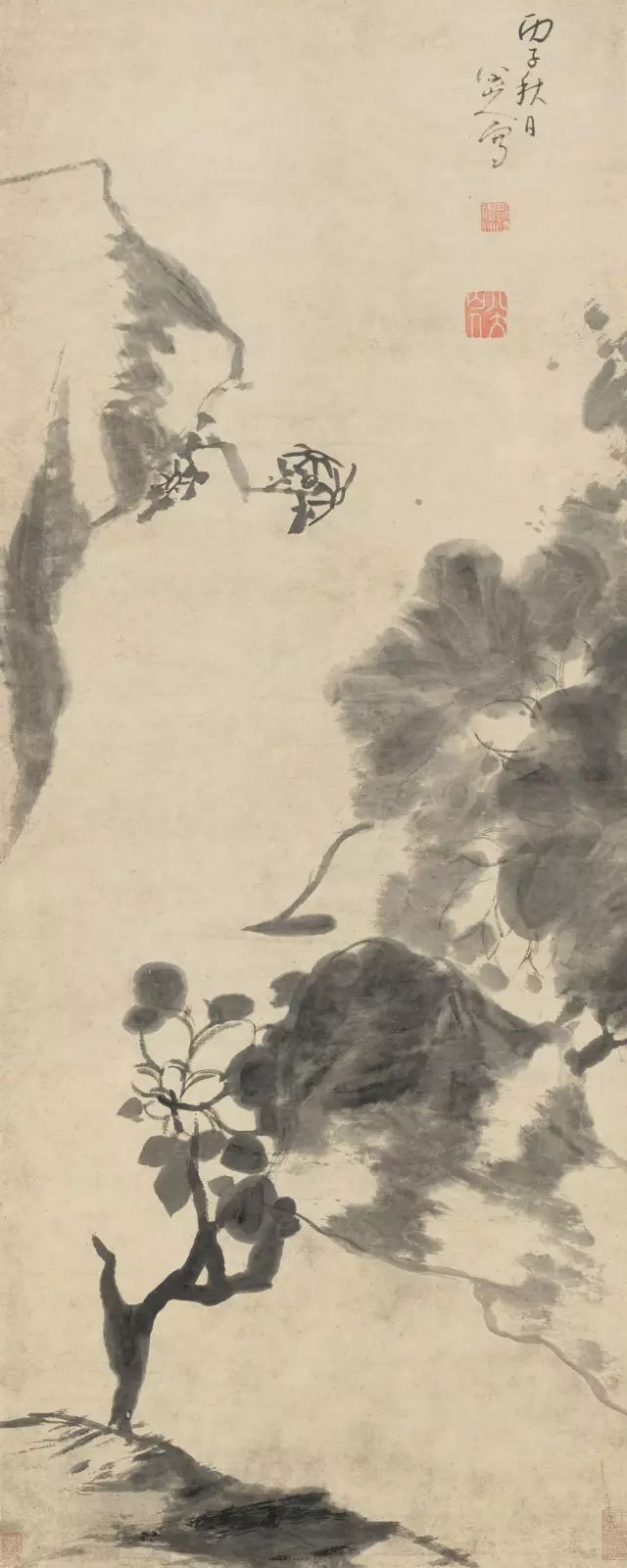 墨荷八大山人最出彩的画题