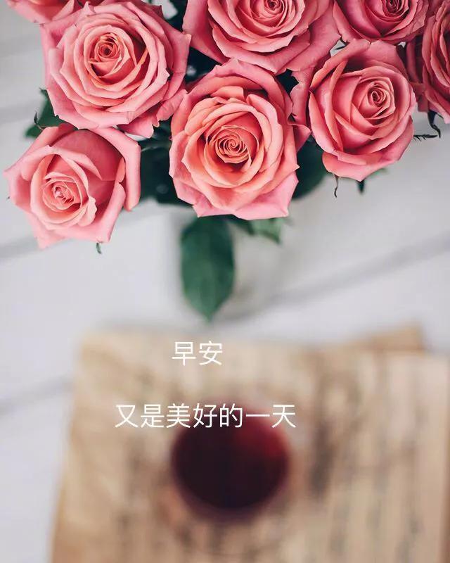 很温暖的早安心语,美好的一天,从早安开始吧!早安!