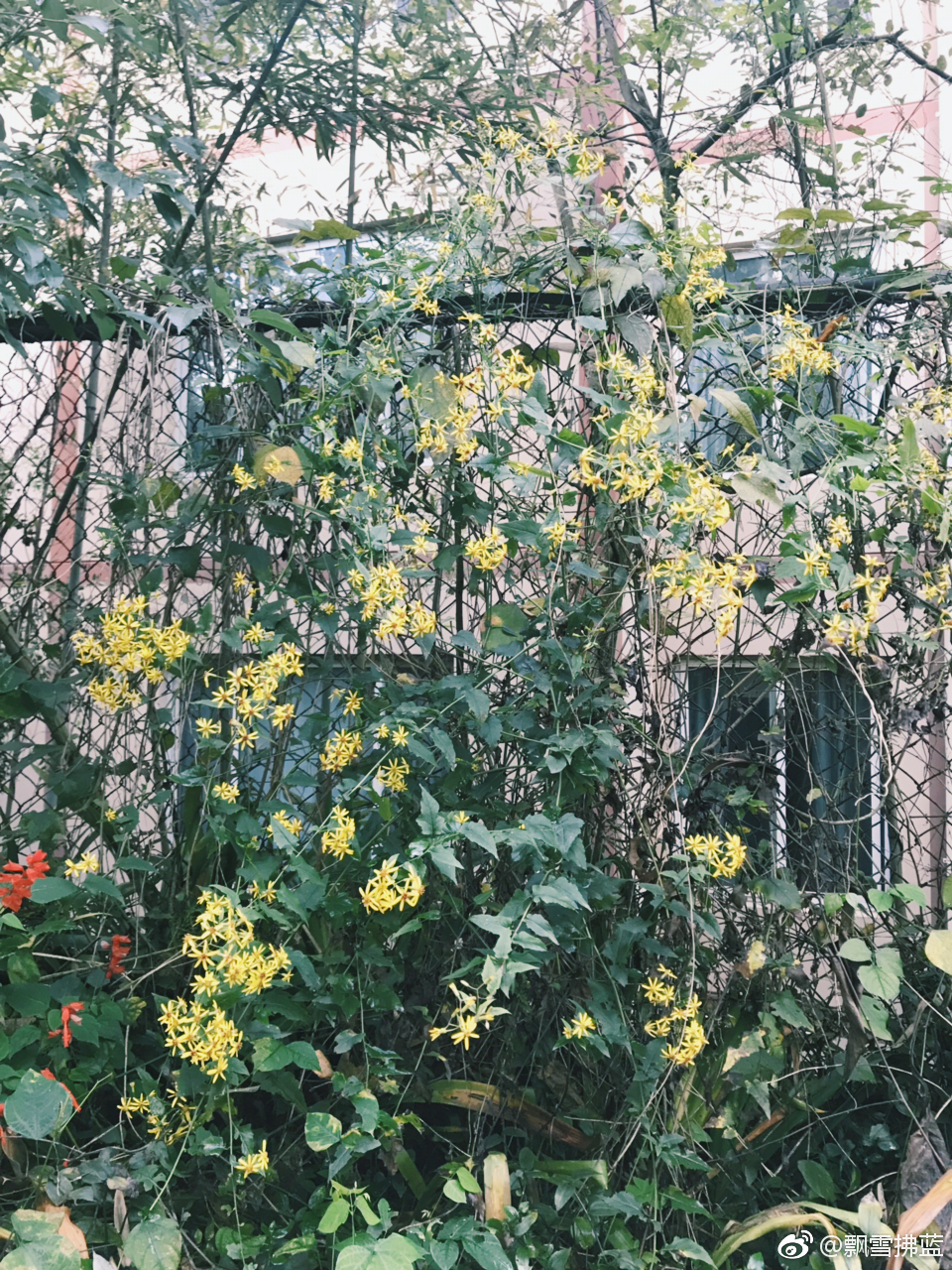 峨眉山下有什么？