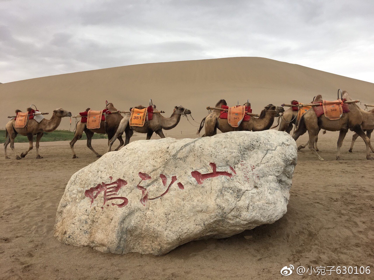 茫茫大漠，悠悠駝鈴