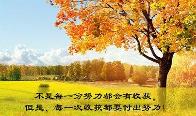 努力到无能为力,拼搏到感动自己