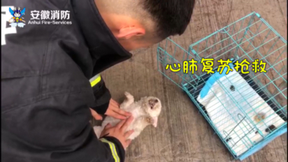 视频|CPR、氧气瓶齐上阵消防员从火场救下二