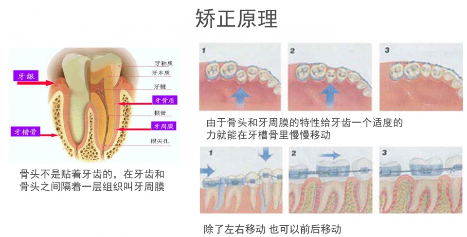 为什么牙齿越来越黄了？