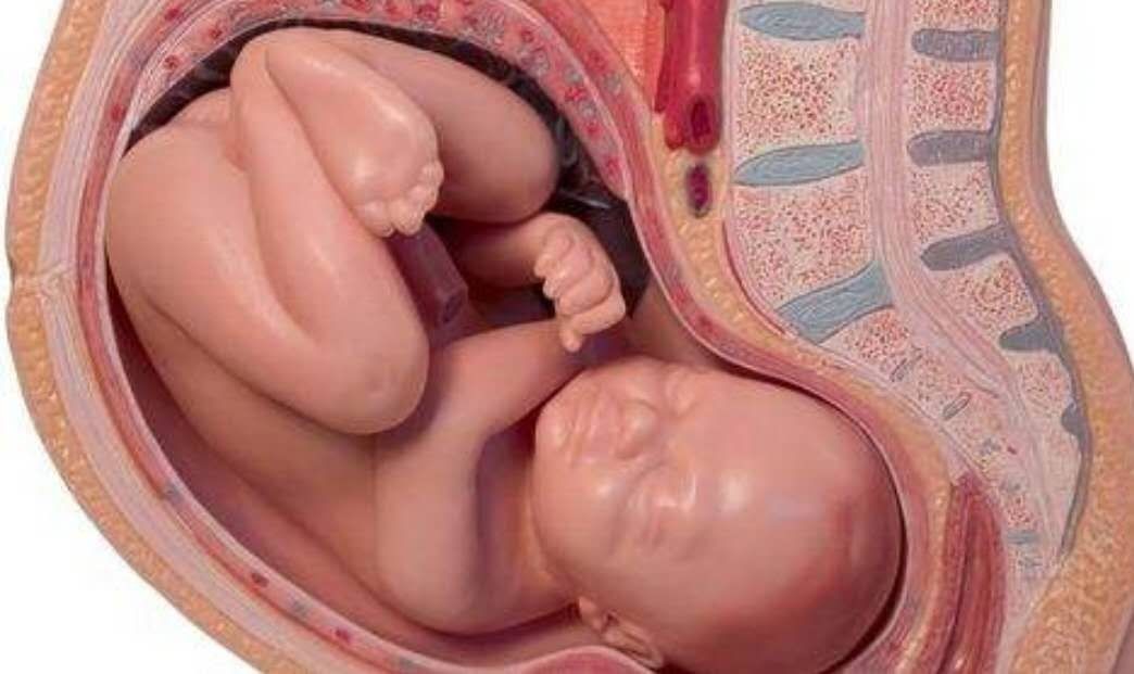 孕9个月的胎儿是以什么样的姿势呆在肚子里的,孕妇需
