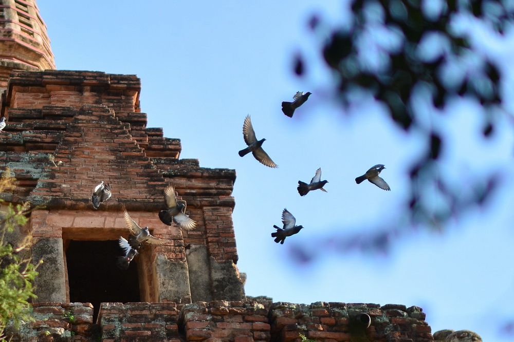 古佛國(guó)蒲甘出門見佛塔，步步遇菩薩