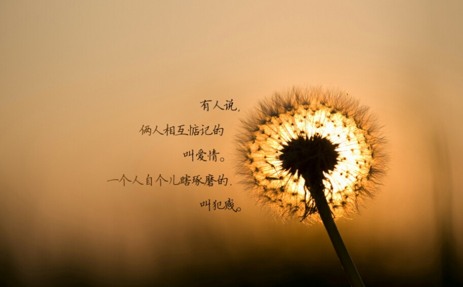 懂得向前一步,女人就能活成自己想要的样子