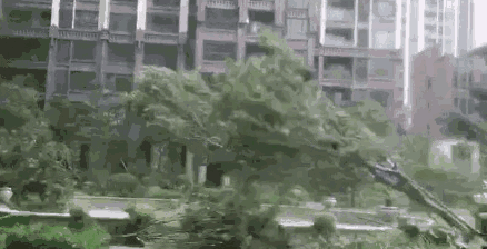438_224gif 动态图 动图